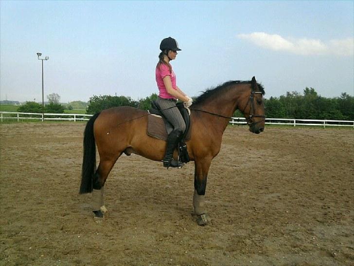 Oldenborg Vladimir billede 8