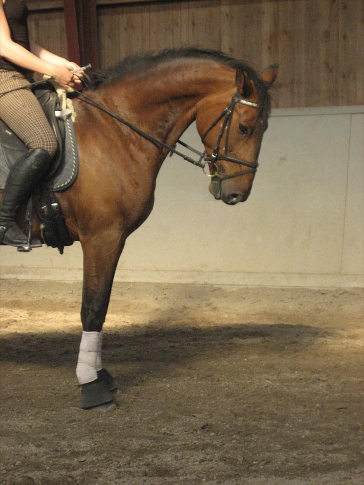 Oldenborg Vladimir billede 11