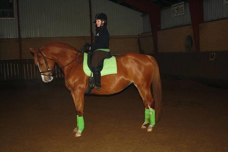 Anden særlig race dixi billede 11