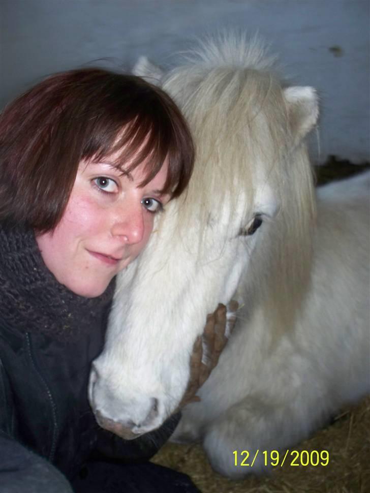 Anden særlig race Napoleon billede 9