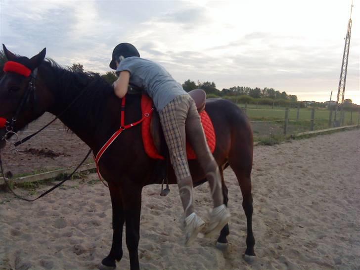 Traver Jette. *savnet* :/ <3. billede 11