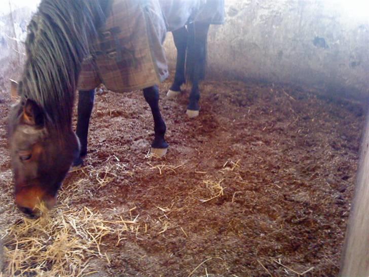 Traver Jette. *savnet* :/ <3. billede 12