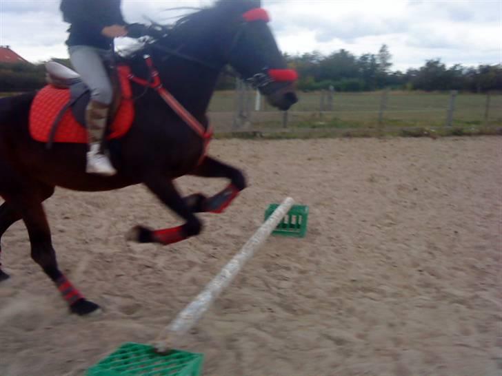 Traver Jette. *savnet* :/ <3. billede 13