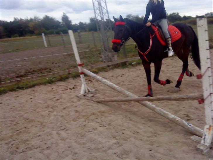 Traver Jette. *savnet* :/ <3. billede 14