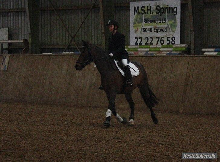 DSP Kvazandra Lapaz<3  billede 5