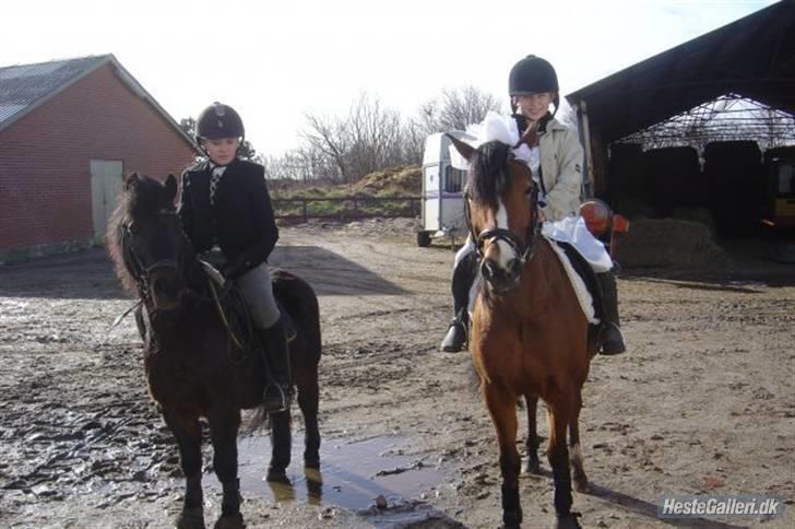 Anden særlig race Buster  - Mig og Buster (t.h) og Cecilie og Bianca (t.v) til fastalavns-stævne på ØGR billede 20