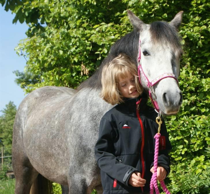 Welsh Pony (sec B) Vongkærgårds Annabell - Da vi var små og søde <3 2009...  billede 3