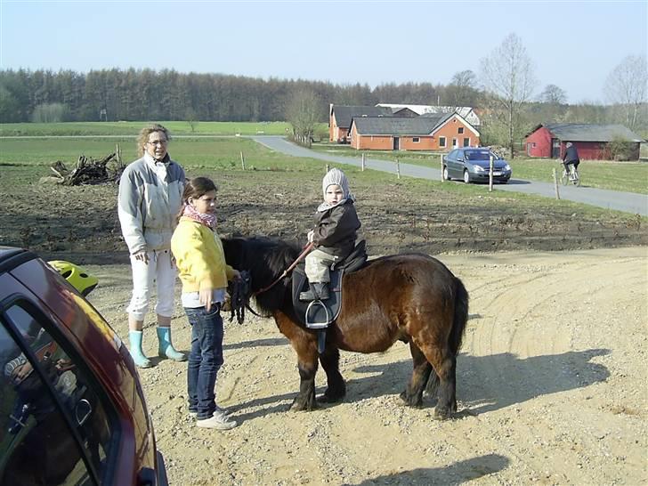 Shetlænder Prins R.I.P :( - HAHAHA JEG ER LILLE DER :D :D xD billede 6