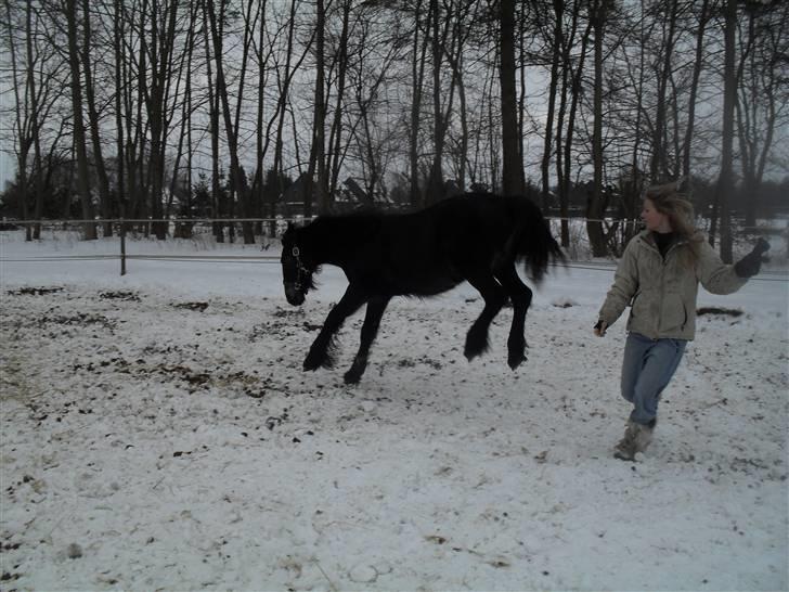 Anden særlig race  *bellami* - haha så prøver vi da lige at sprke cille :O haha :P billede 14