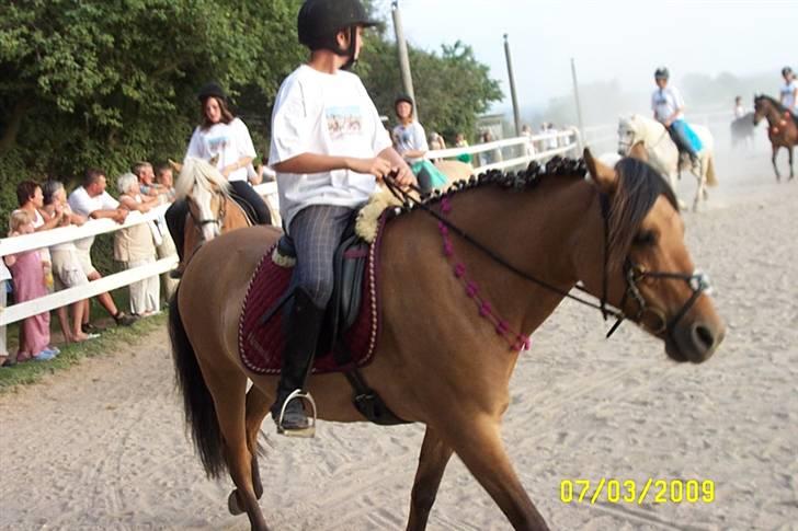 Fjordhest /Pinto Fie - kvadrille ride lejr 2009 foto: mor #16  billede 16