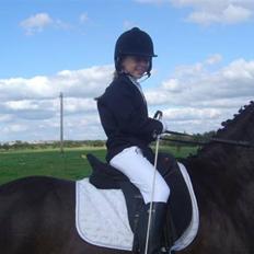 Anden særlig race Reval