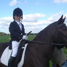 Anden særlig race Reval