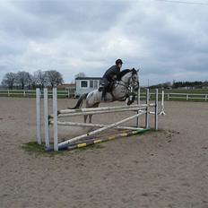 Anden særlig race Molly <3