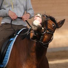 Anden særlig race Djenkiss <'3 