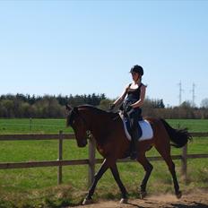 Anden særlig race Djenkiss <'3 