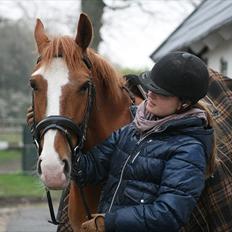 Anden særlig race Lex R.I.P