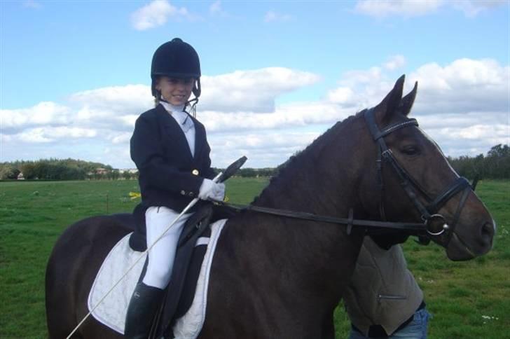 Anden særlig race Reval - Til stævne billede 3