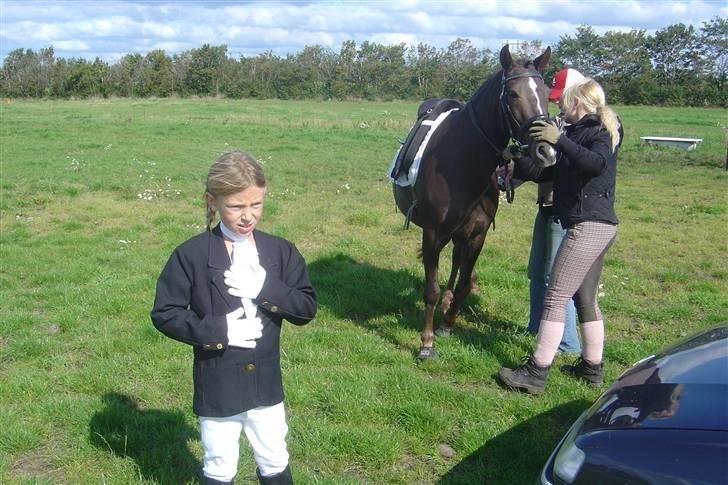 Anden særlig race Reval - Vi gør os klar til stævne billede 7