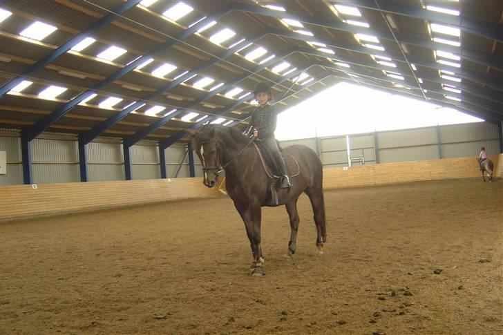 Anden særlig race Reval - Mig og valle-mus billede 8