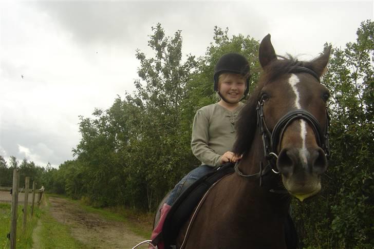 Anden særlig race Reval - Min veninde rider Valle billede 11