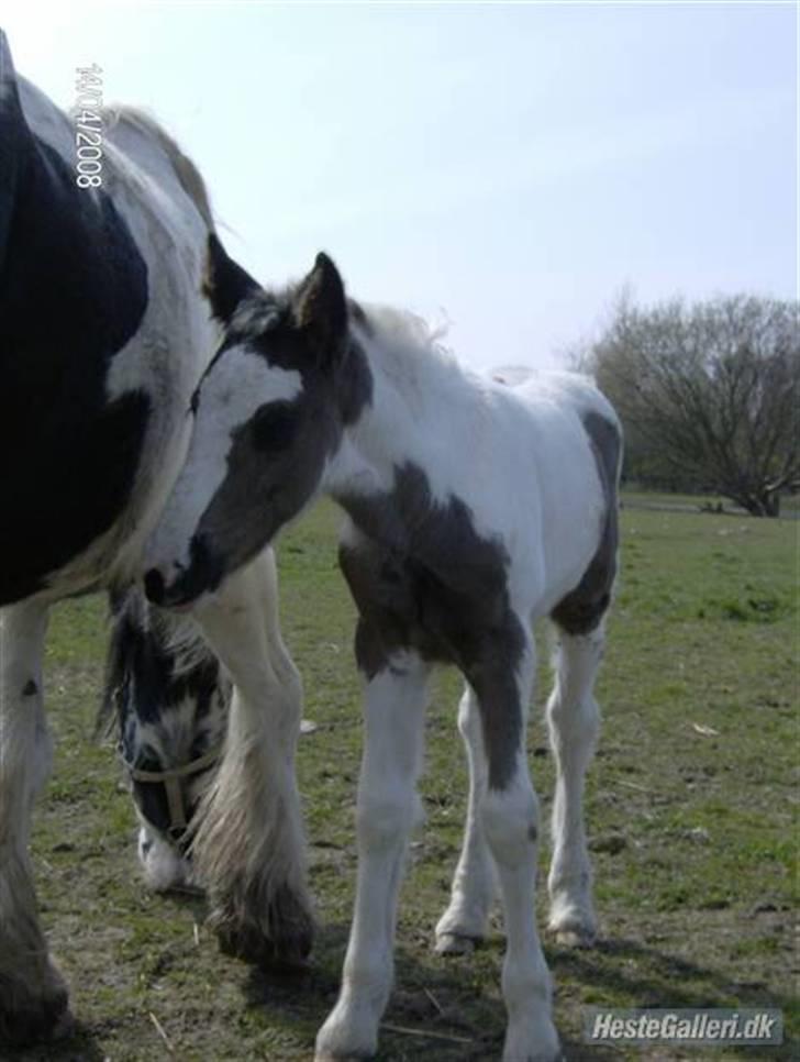 Tinker Kaiser billede 12