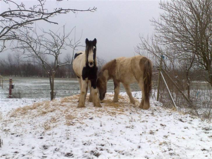 Tinker Kaiser billede 9