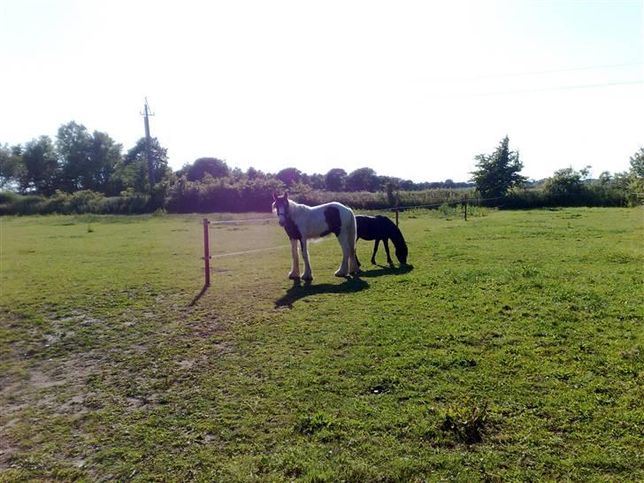 Tinker Kaiser billede 7