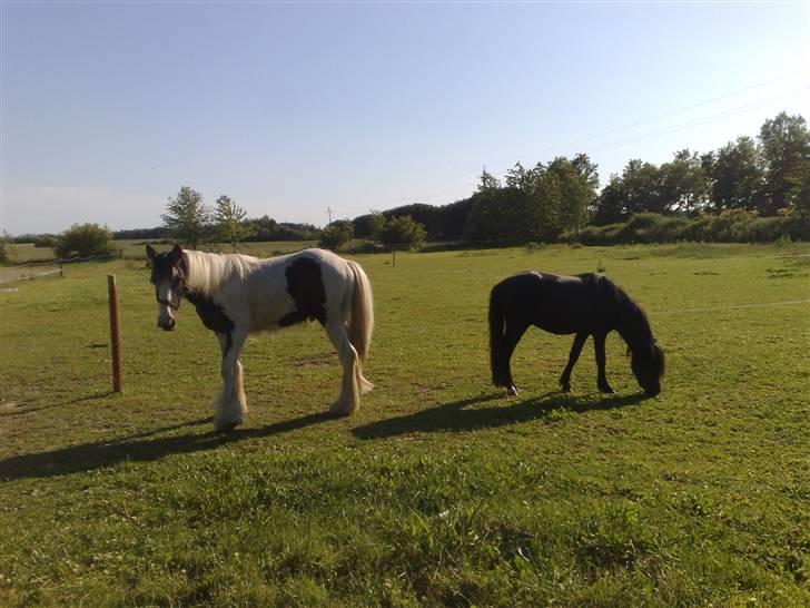 Tinker Kaiser billede 10