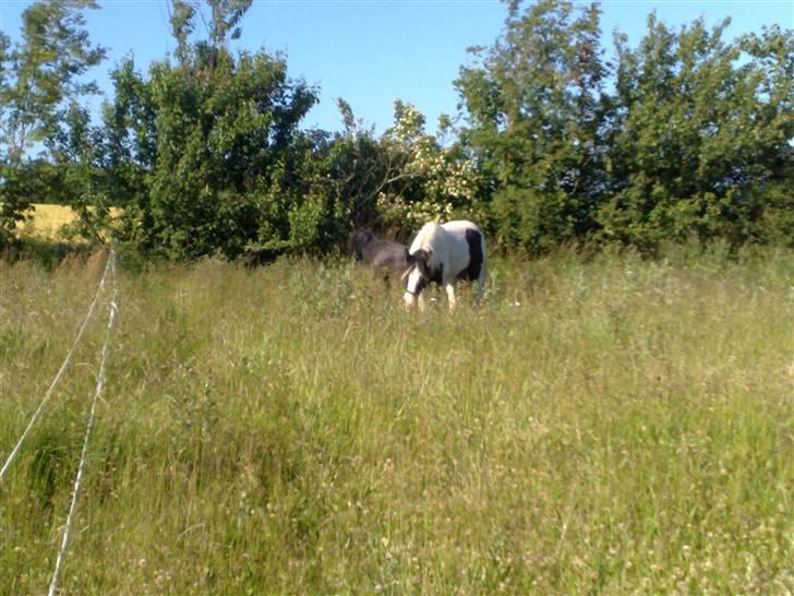 Tinker Kaiser billede 6