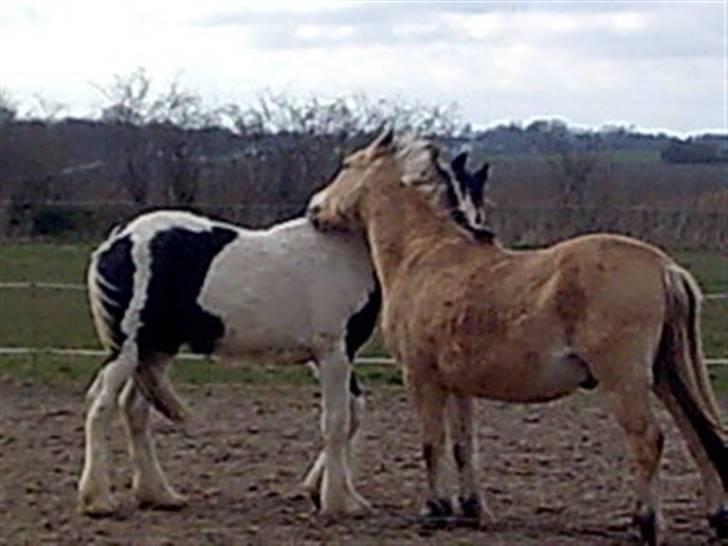 Tinker Kaiser billede 8