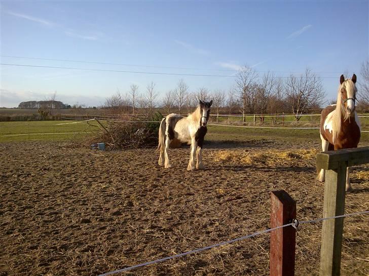 Tinker Kaiser billede 11