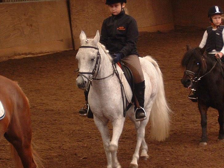 Anden særlig race Lukas <333 R.I.P - Stævne D. 12/9 - 2010 - Holdridning billede 13