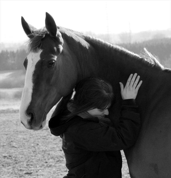 Polsk Varmblod Emma - Foto Yvonne Kærlykke d. 8/4 2011 billede 8