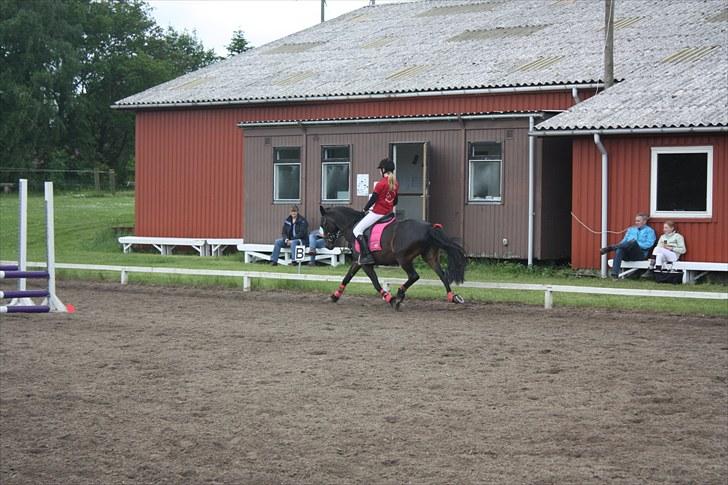 Anden særlig race Thyra - Stævne i kongsvad. Foto Sisse  billede 18