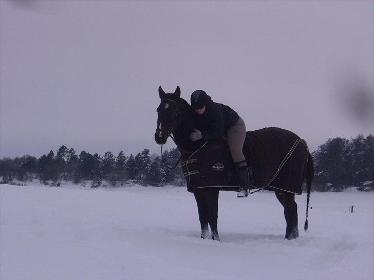 Anden særlig race Arthur - Velkommen til Arthurs profil ;)  billede 1