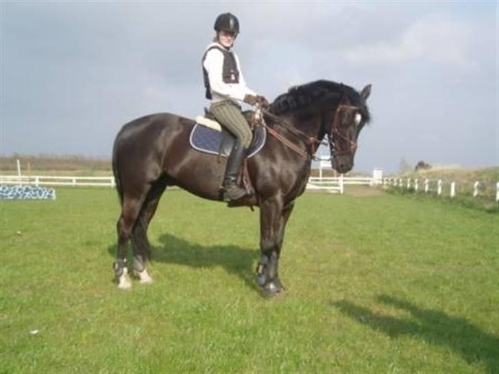 Oldenborg Dumle - han ligner en pony! :S<3 billede 9