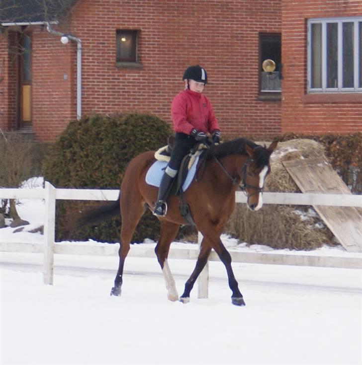 DSP Hedemands Tanita billede 4