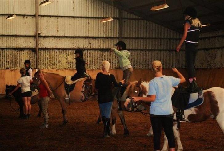 Anden særlig race Trøffel(solgt og savnet) - Billed fra tidligere ejer da hun gik ride skole billede 3