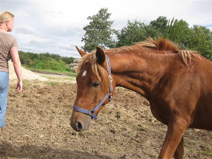 Anden særlig race Cozmo <333(Solgt):'( - MIINNN!!!! billede 4