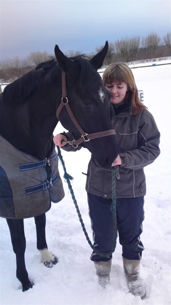 Holstener Landa ¤SOLGT¤ - Mig og Landa i sneen<3 billede 13