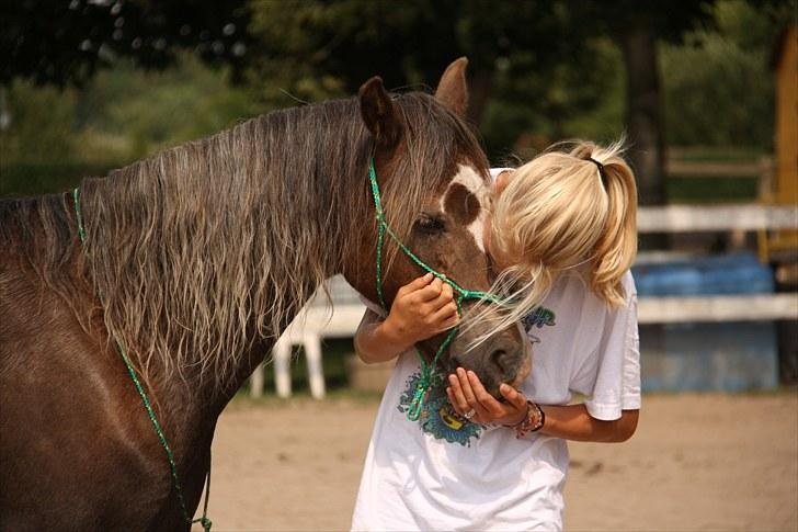 Welsh Pony (sec B) Stendyssens Sunshine - Charme, selvtillid og lækkert hår. :-) Hygge stund med hende der har hjulper mig op, fra det sorte hul i mit indre (´: <3  Foto. Jeanett. billede 16