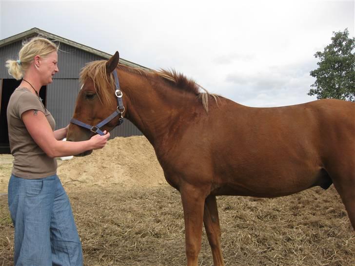 Anden særlig race Cozmo <333(Solgt):'( billede 6