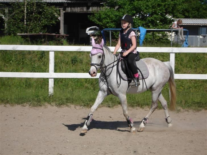 Tysk Sportspony Nikita R.I.P - Rider lidt på springbanen på ryttergården, dengang vi stod der  billede 1