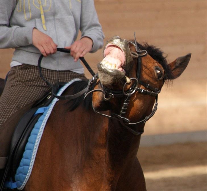 Anden særlig race Djenkiss <'3  - Hej xD Jeg hedder Djenkiss, kig dig omkring på min profil og lig gerne en kommentar og en bedømmelse :)  billede 1