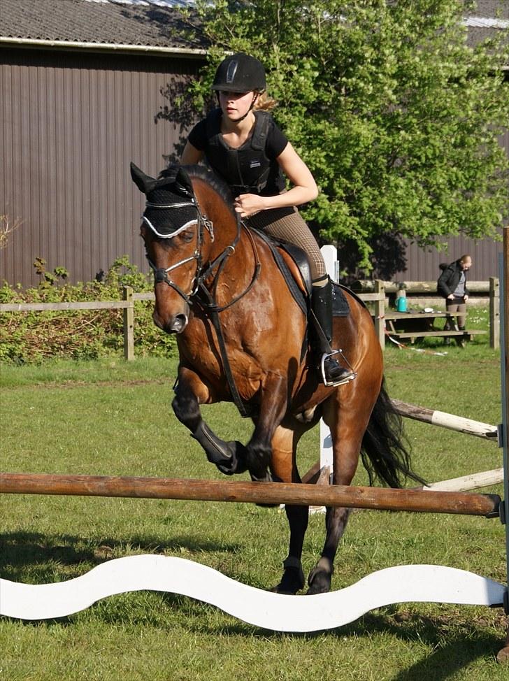 Anden særlig race Djenkiss <'3  - Springe kan jeg også (: billede 4