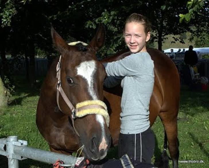 Svensk Sportspony  Cayenne billede 7