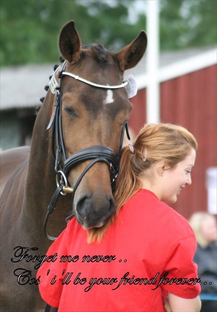 Dansk Varmblod Møllegårdens Kobana RDH - Moar,,, ORKER ikke mere nu =) billede 12