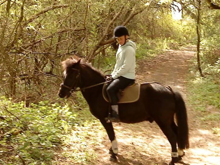 Anden særlig race Rollo <3 billede 16