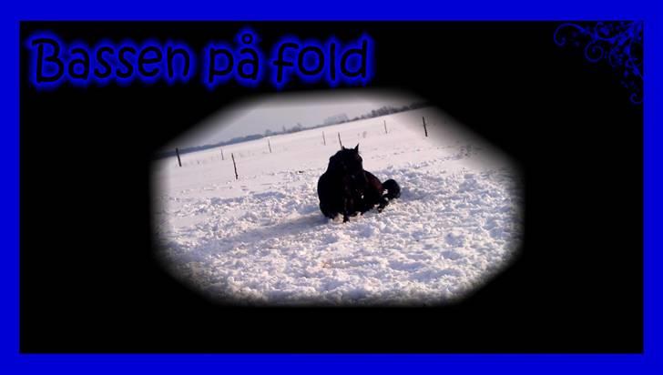 Traver zeb, R.I.P :'( ILY - billede , 16 . hygge dag(: . fotogarf mig . lavet a mig (: billede 16