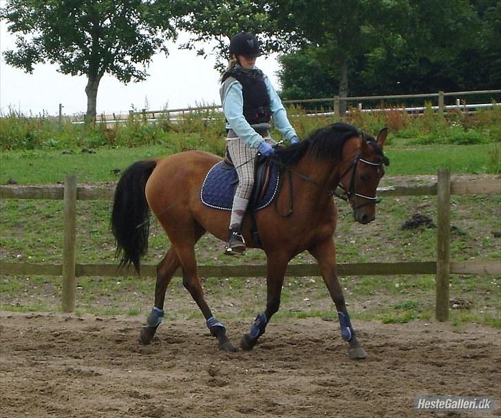 Anden særlig race Filur - R.I.P. skat :''( † - #5 Elsker det her billed     - Foto: Mor# billede 5